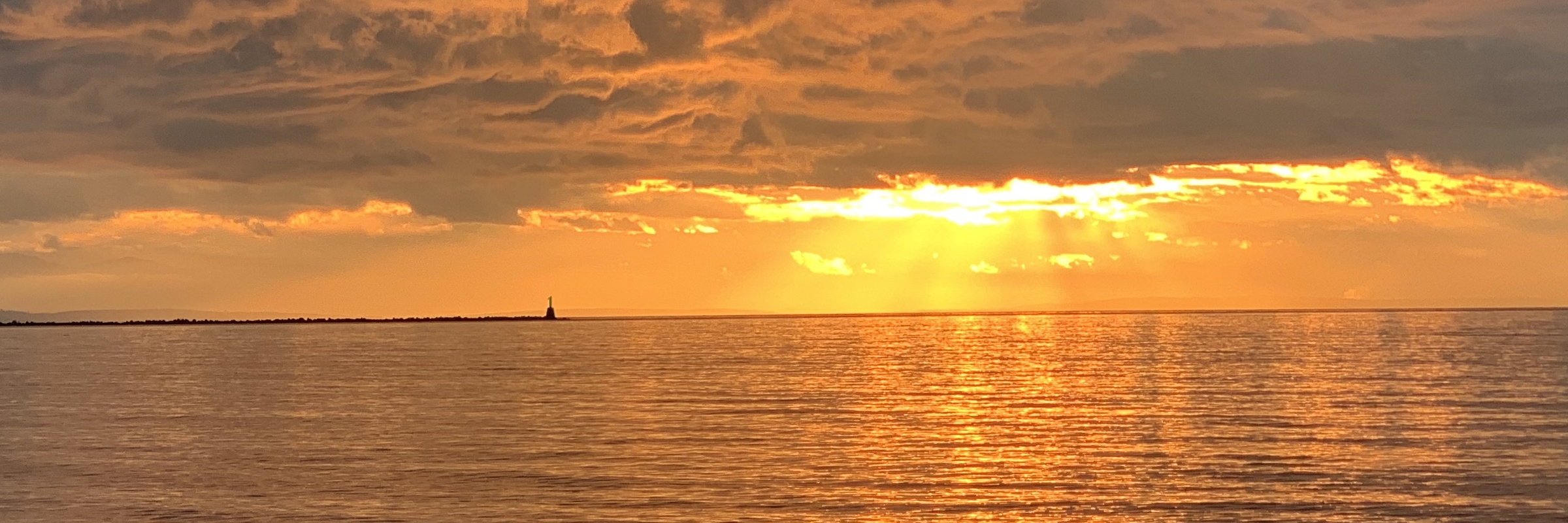 Profile Banner